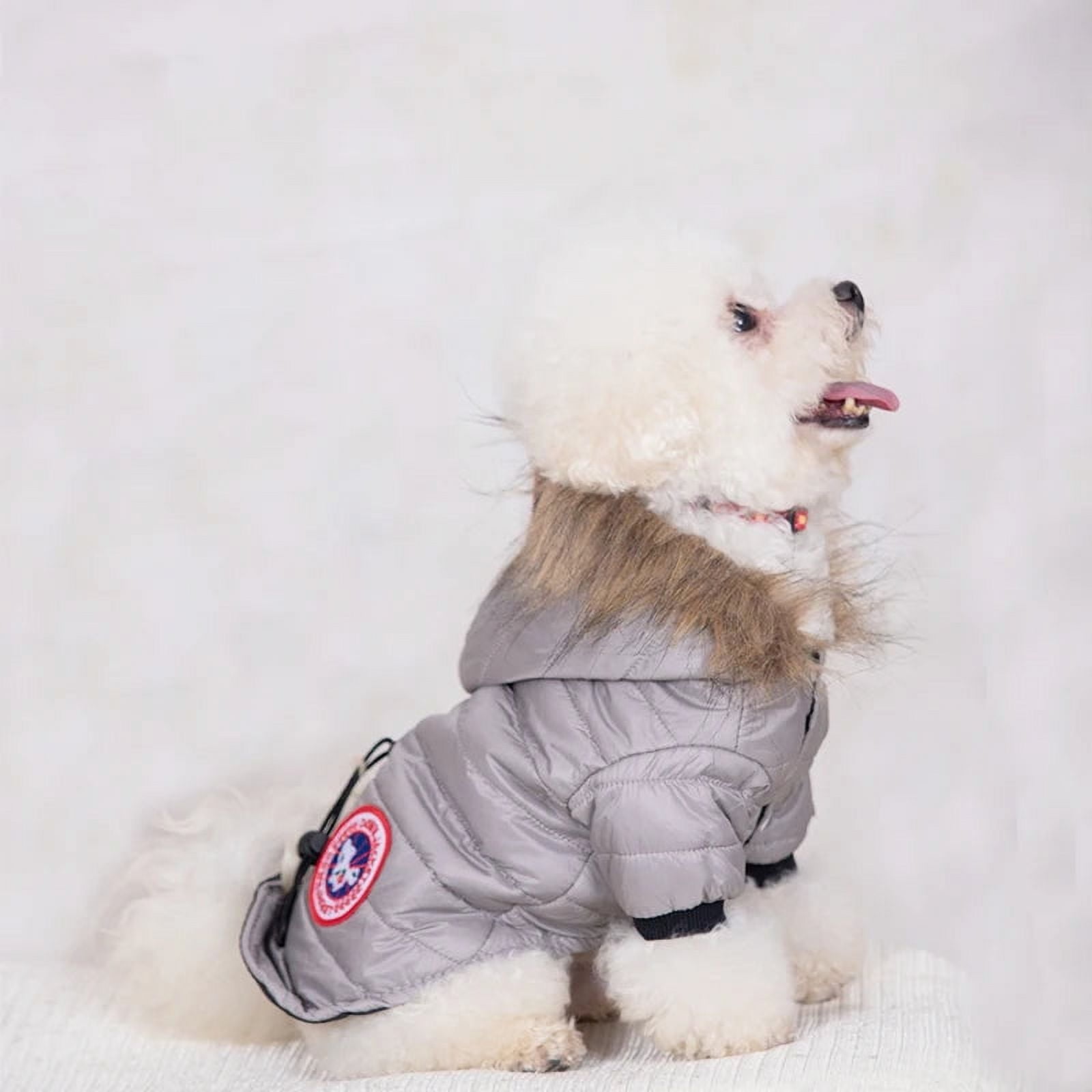 Canada goose dog jacket Clearance